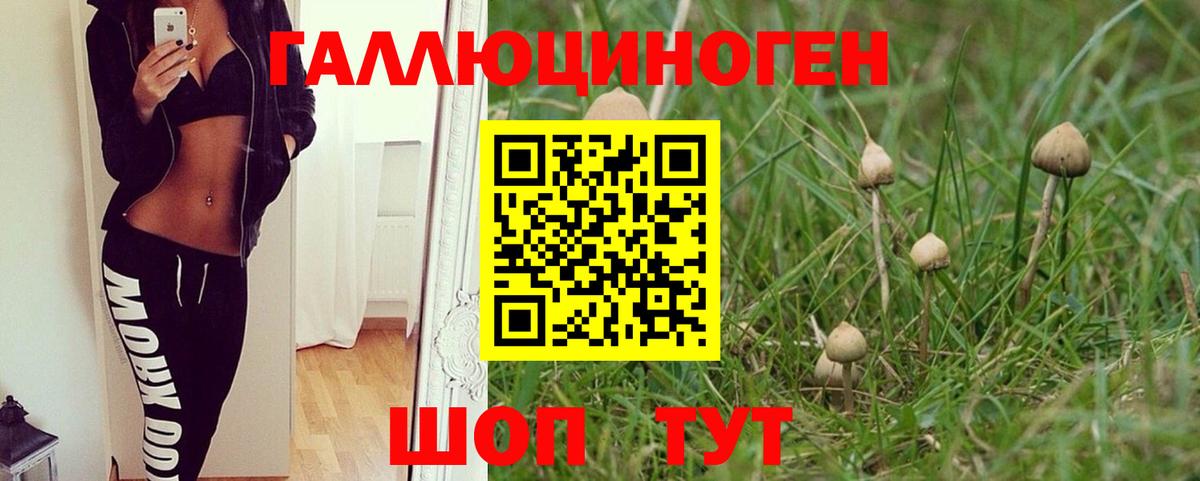 Прокопьевск  Псилоцибиновые грибы GOLDEN TEACHER  Галлюциногенные грибы Cubensis  Вход с VPN 
